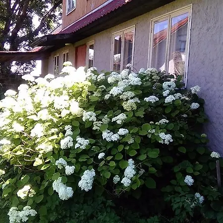 Maidu Holiday Kuusalu